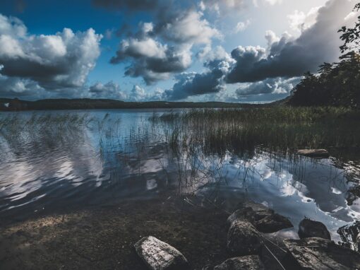 Mölndal – Svezia