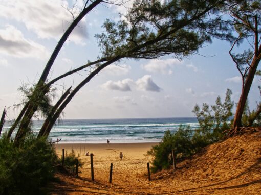 iSimangaliso Wetland Park – Sudafrica