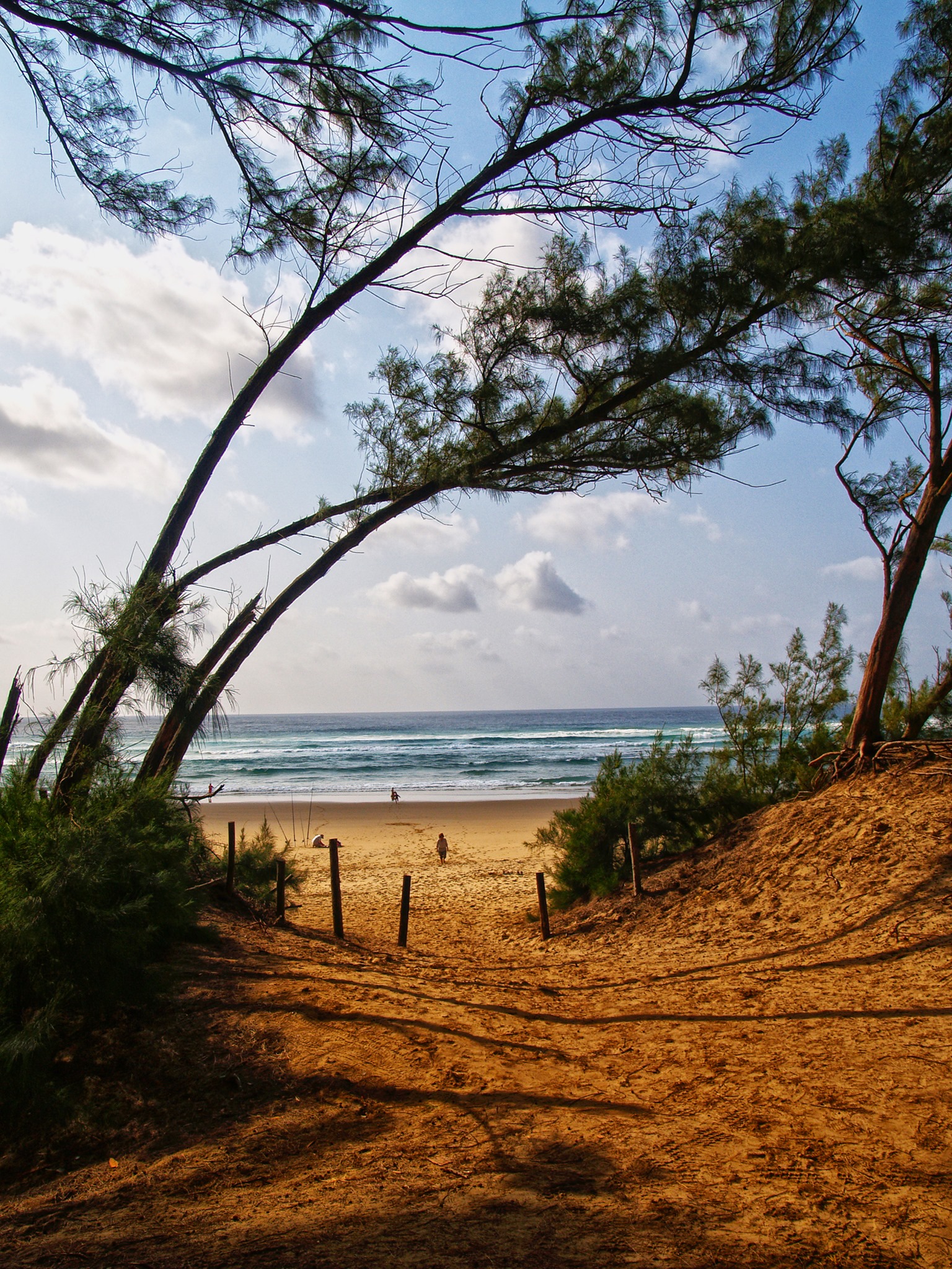 iSimangaliso Wetland Park – Sudafrica