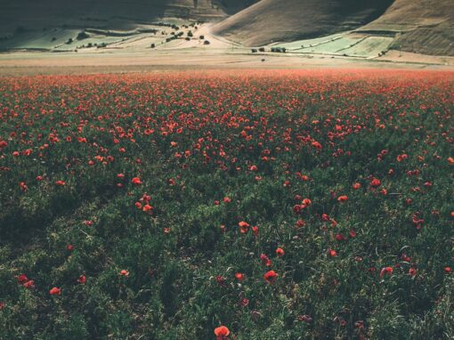 Castelluccio – Italia