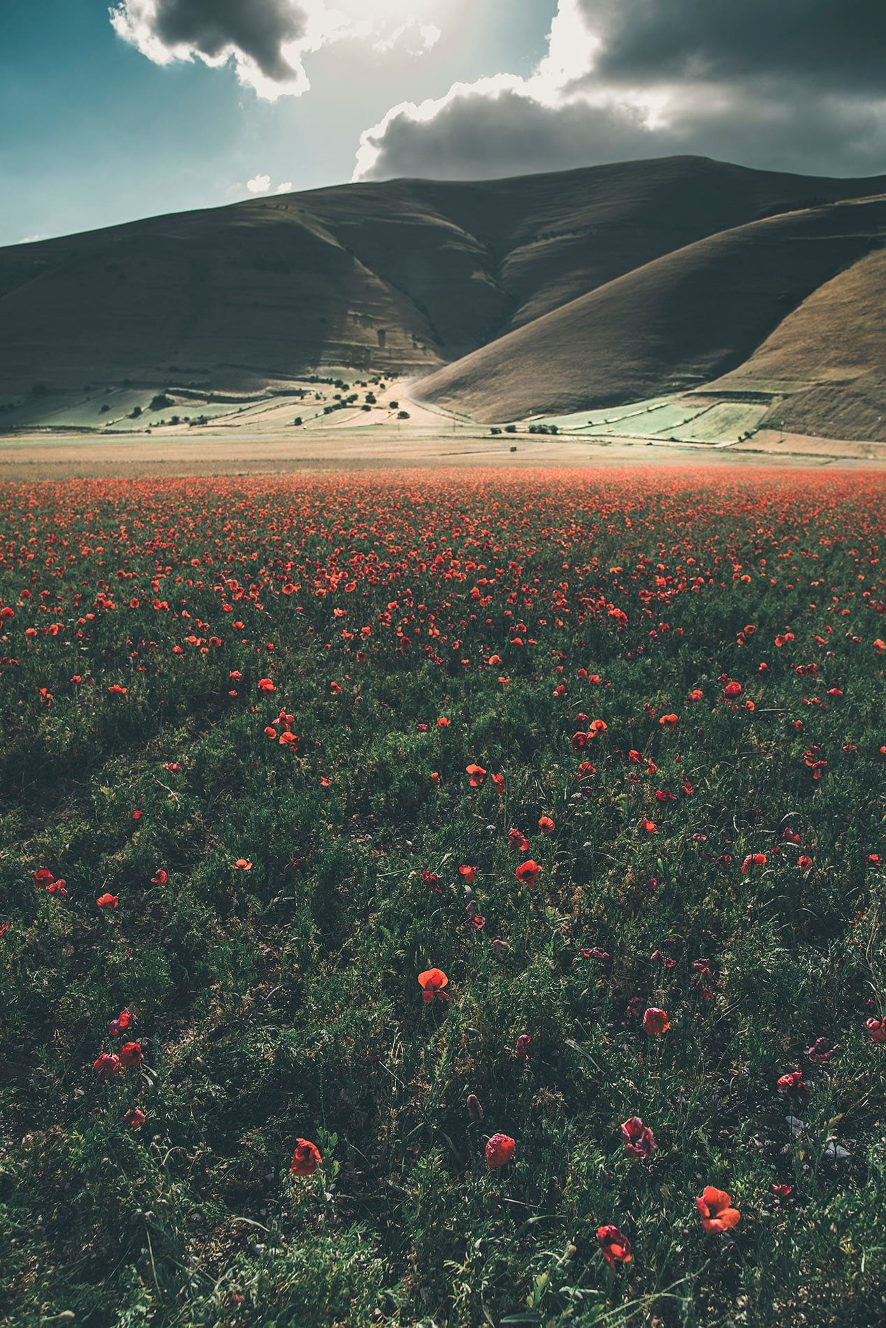 Castelluccio – Italia