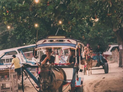 Isole Gili – Indonesia