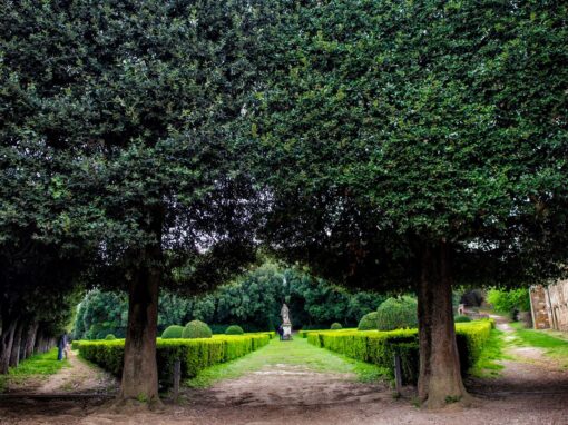 Horti Leonini – Italia