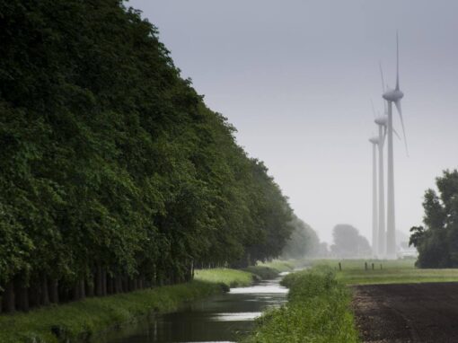 Flevoland – Olanda
