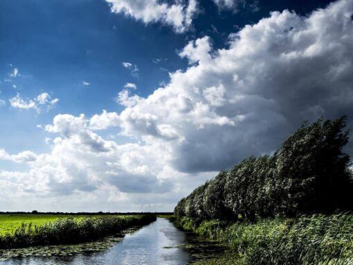 Ilperveld – Olanda